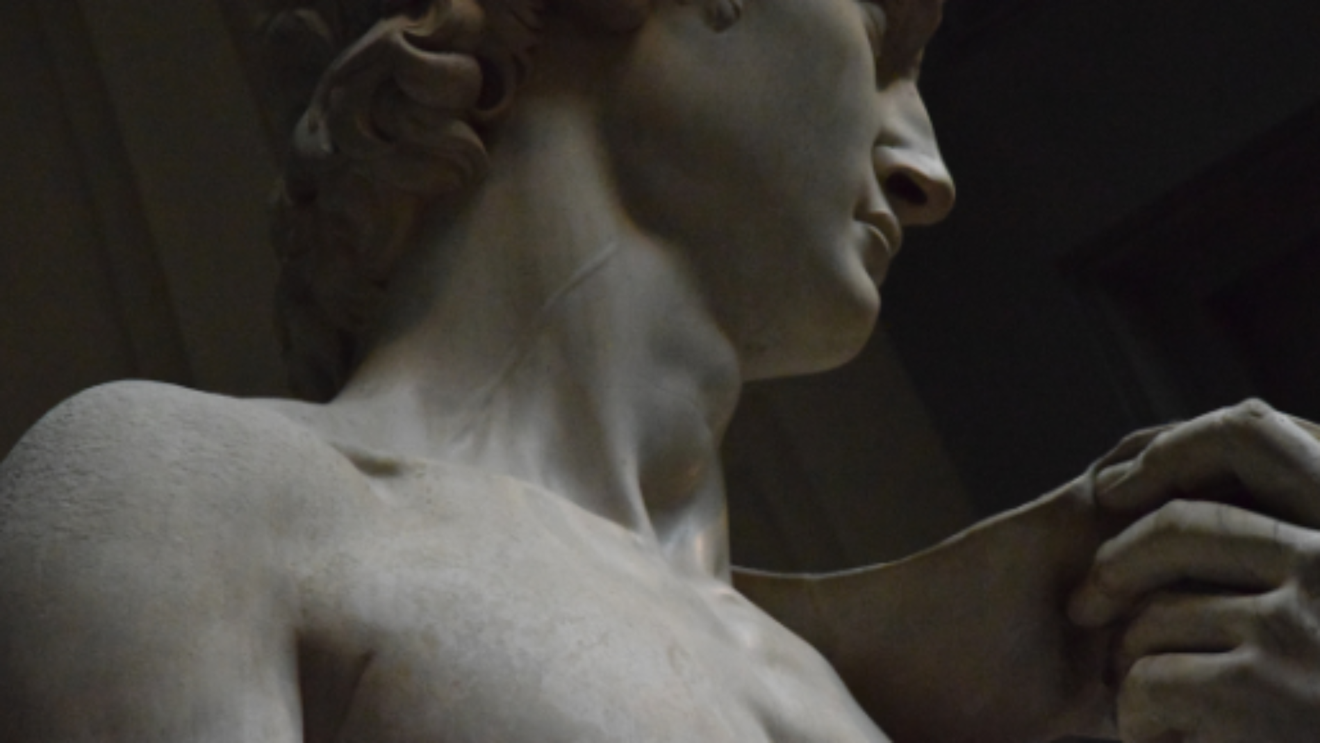 THE David