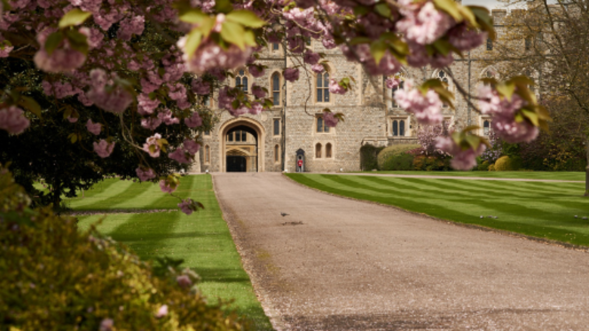 Most International Universities