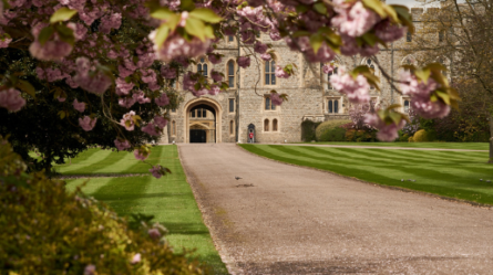 Most International Universities