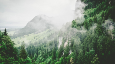 Greenmetric: 8 Italian HEIs in the top 100 worldwide