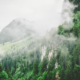 Greenmetric: 8 Italian HEIs in the top 100 worldwide