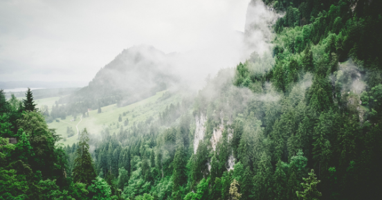 Greenmetric: 8 Italian HEIs in the top 100 worldwide