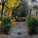 Italian universities activate 5,000+ university programs